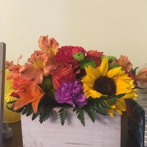 Meet your Posher, Cindy